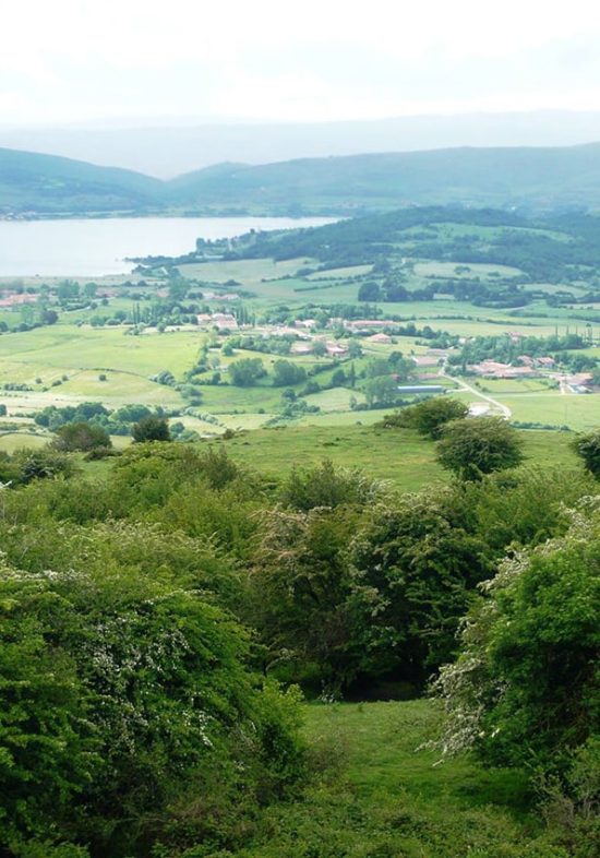 Paisaje valle de Campoo