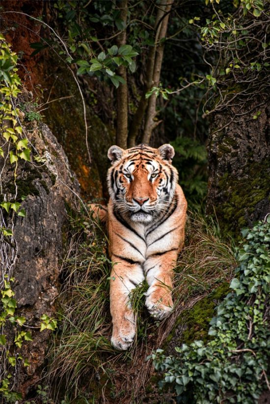 parque de la naturaleza de cabarceno