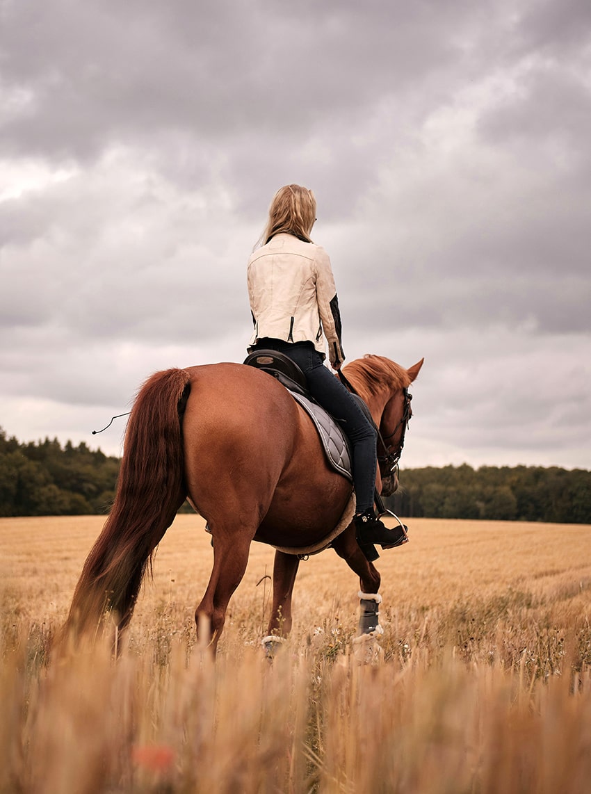 paseo a caballo